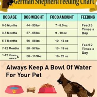German Shepherd Dog Feeding Chart