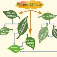Global Warming Flowchart