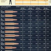 Gun Caliber Velocity Chart