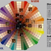 Hair Color Chart Wheel