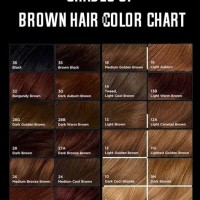 Hair Dye Shade Chart