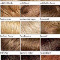 Honey Blonde Hair Color Chart