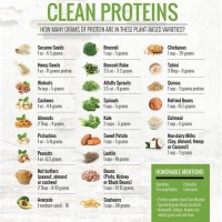 How Many Grams Of Protein In Foods Chart