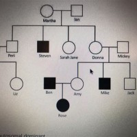 How To Make A Pedigree Chart Biology