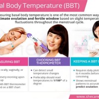 How To Take Basal Body Temperature Chart For