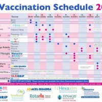 Immunization Schedule Chart Rajasthan 2021