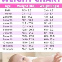 Infant Weight Range Chart