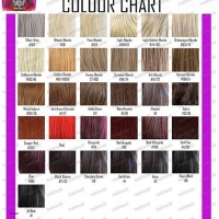 Ion Color Brilliance Demi Permanent Hair Chart