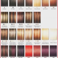 Ion Color Brilliance Permanent Creme Hair Chart