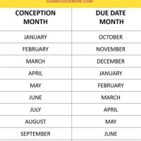 Ion Month And Due Date Chart