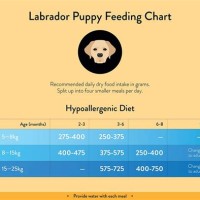 Labrador Dog Food Chart