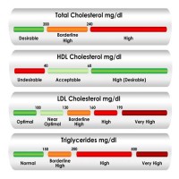 Ldl Cholesterol Range Chart