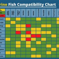 Marine Fish Patibility Chart