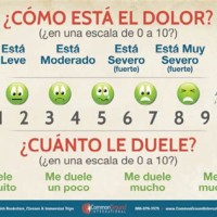 Medical Chart In Spanish