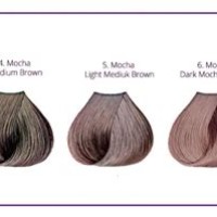 Mocha Hair Color Chart