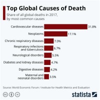 Morte Rate Chart 2017