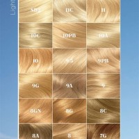 Nice Easy Hair Colours Chart
