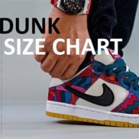 Nike Dunk Gs Size Chart