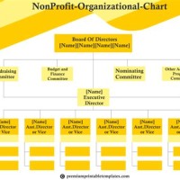 Non Profit Structure Anizational Chart