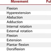 Normal Joint Range Of Motion Chart