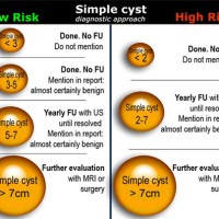 Ovarian Cyst Size Chart In Cc