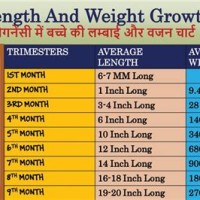 Pregnancy Baby Growth Chart In Hindi