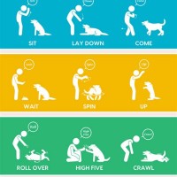 Puppy Training Dog Hand Signals Chart