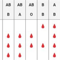 Red Cross Blood Type Chart