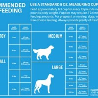 Saint Bernard Dog Food Chart