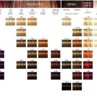 Schwarzkopf Professional Hair Color Chart