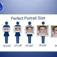 Self Portrait Size Chart