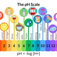 Shoo Ph Levels Chart