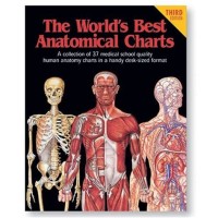 The World 8217 S Best Anatomical Charts