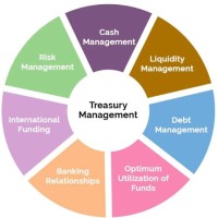 Treasury Management Process Flow Chart