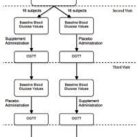 Trial Process Flow Chart