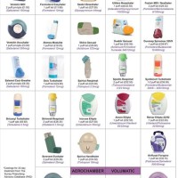 Types Of Inhalers Chart