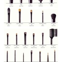 Types Of Makeup Brushes Chart