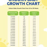 Unborn Baby Weight Chart By Month