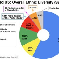 United States Ethnicity Pie Chart