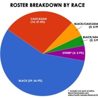 Us Race Demographics Pie Chart