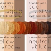 Warm Cool Hair Color Chart