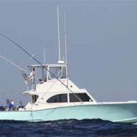 What Is A Fishing Charter Business