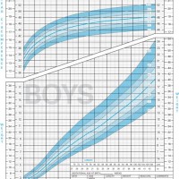 Who Growth Chart Toddler