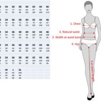 Women S Clothing Size Chart In Inches