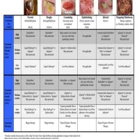 Wound Care Treatment Chart